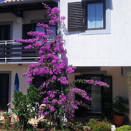 Apartments Barac Porec Bagian luar foto